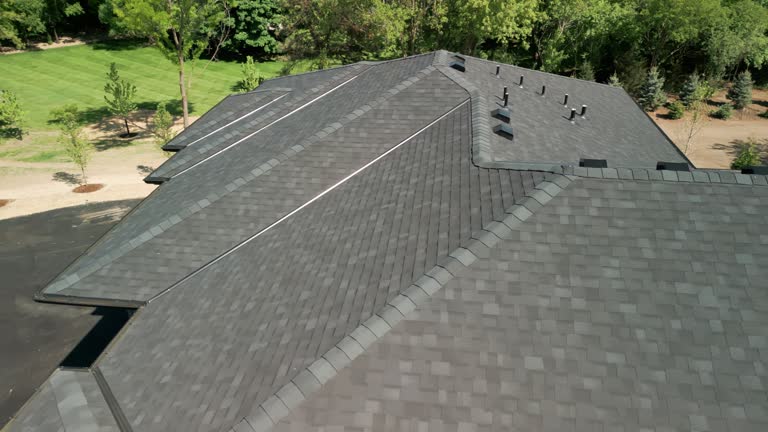 Best Roof Leak Repair  in Seminole, TX